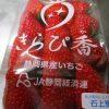 静岡県産いちご「きらぴ香」食べずにはいられない